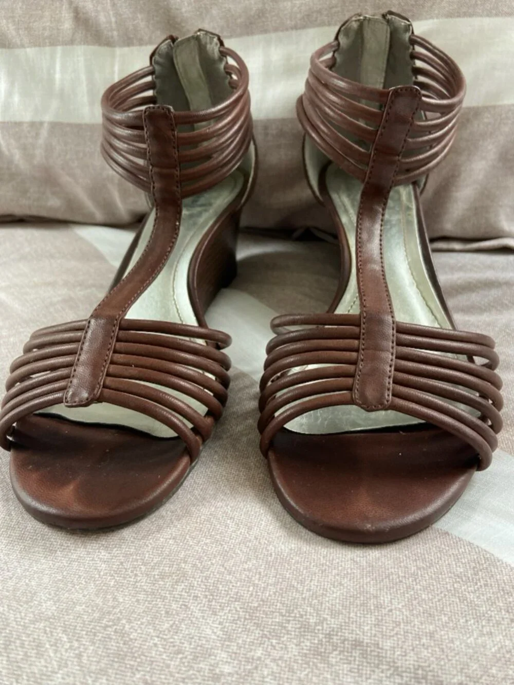 Style & Co. cute brown